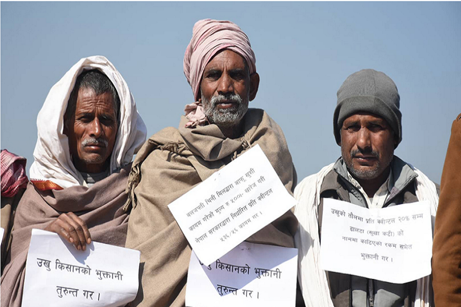 उखु किसानहरु फेरि काठमाडौंमा